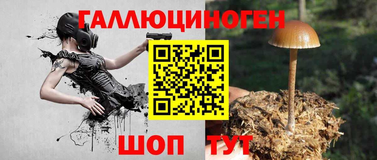 Надым  Псилоцибиновые грибы мицелий  Галлюциногенные грибы MAGIC MUSHROOMS  Вход с VPN 